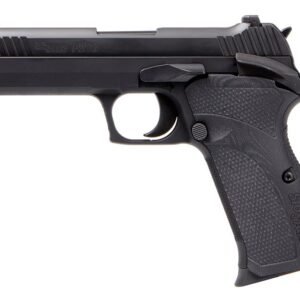 SIG SAUER P210 CARRY